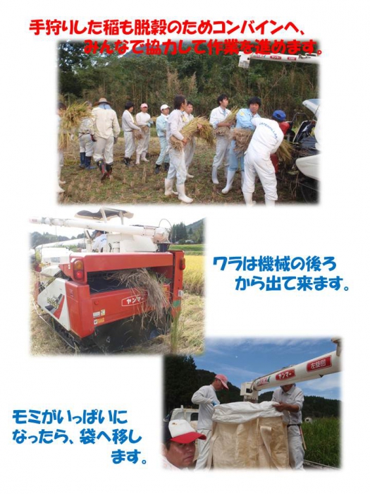まちに待った収穫祭♪