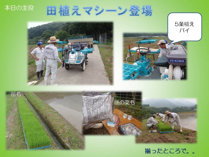 今年も田植えの季節がやってきました。