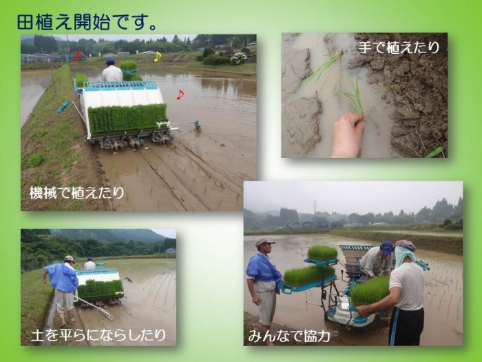 今年も田植えの季節がやってきました。