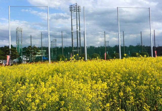 お倉ヶ浜総合公園防球ネット新設工事