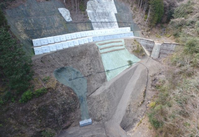 平成２８年度 林地荒廃防止事業黒松【宮崎県知事賞】