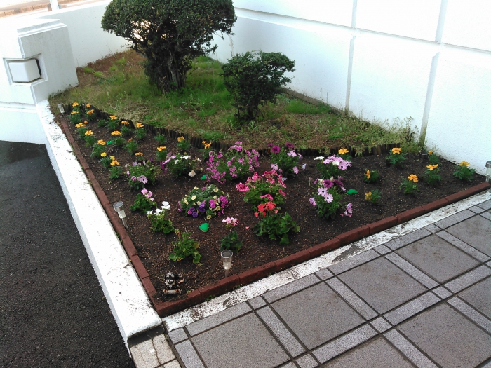 2018春の植栽活動！