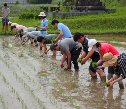 田植え活動を実施しました！