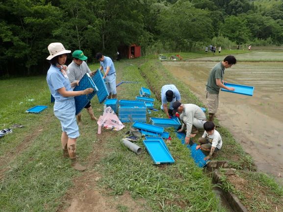 田植え活動を実施しました！