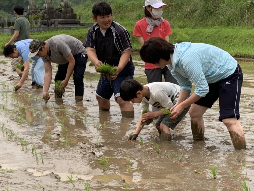 田植え活動を実施しました！