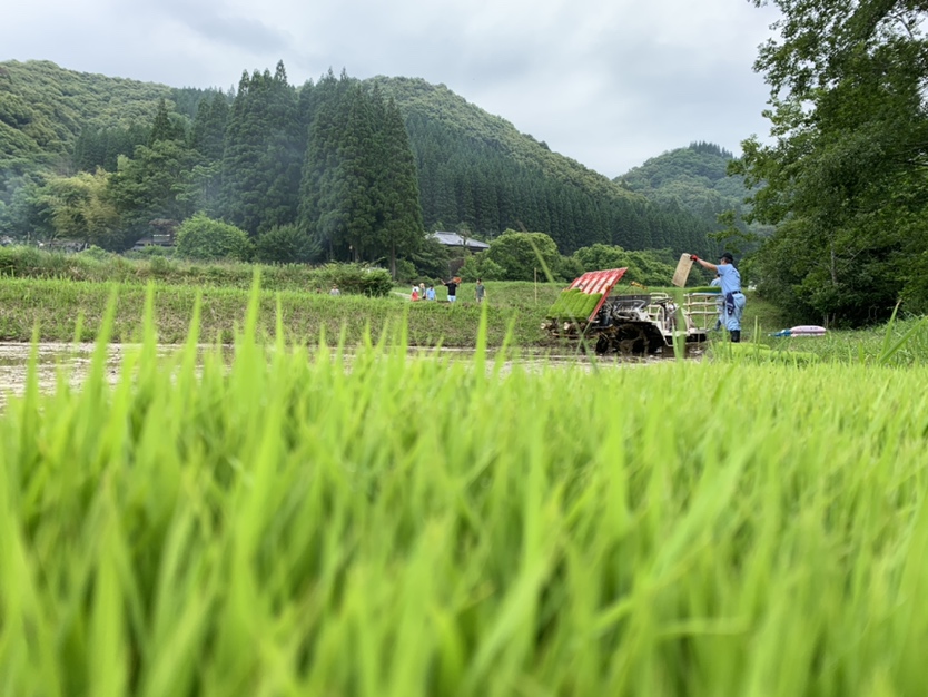 田植え活動を実施しました！