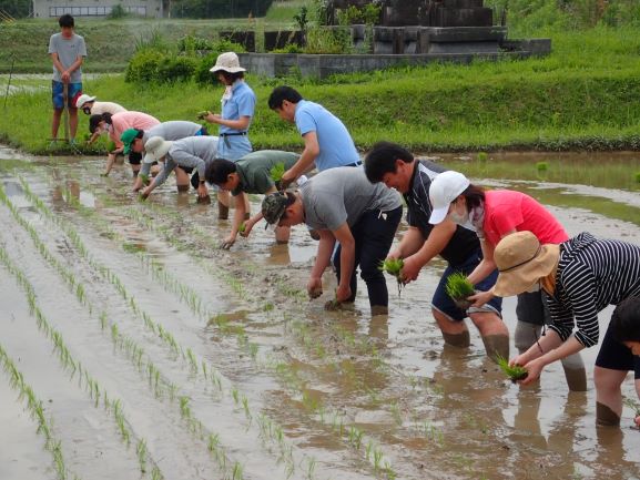 田植え活動を実施しました！