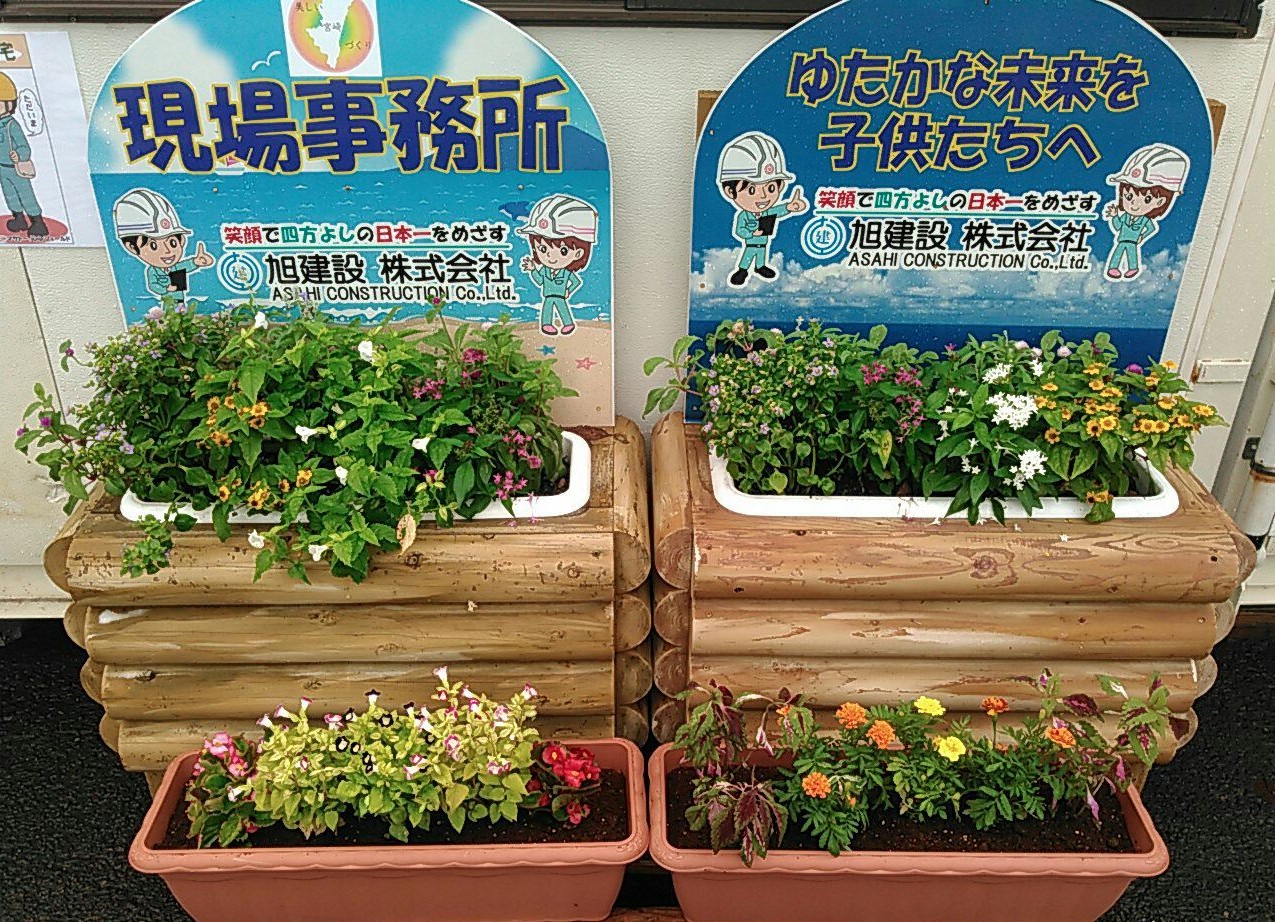 みやざき花いっぱいプロジェクト 工事現場に花を飾ろう 旭建設株式会社 宮崎県日向市