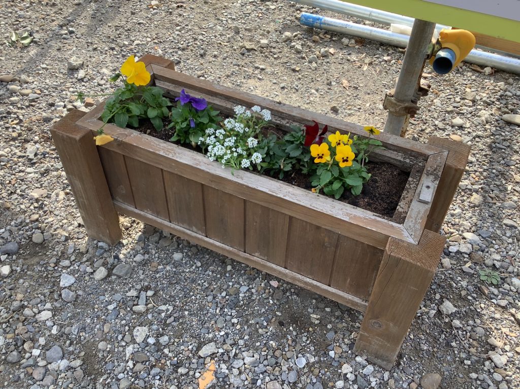 みやざき花いっぱいプロジェクト2020～工事現場に花を飾ろう～