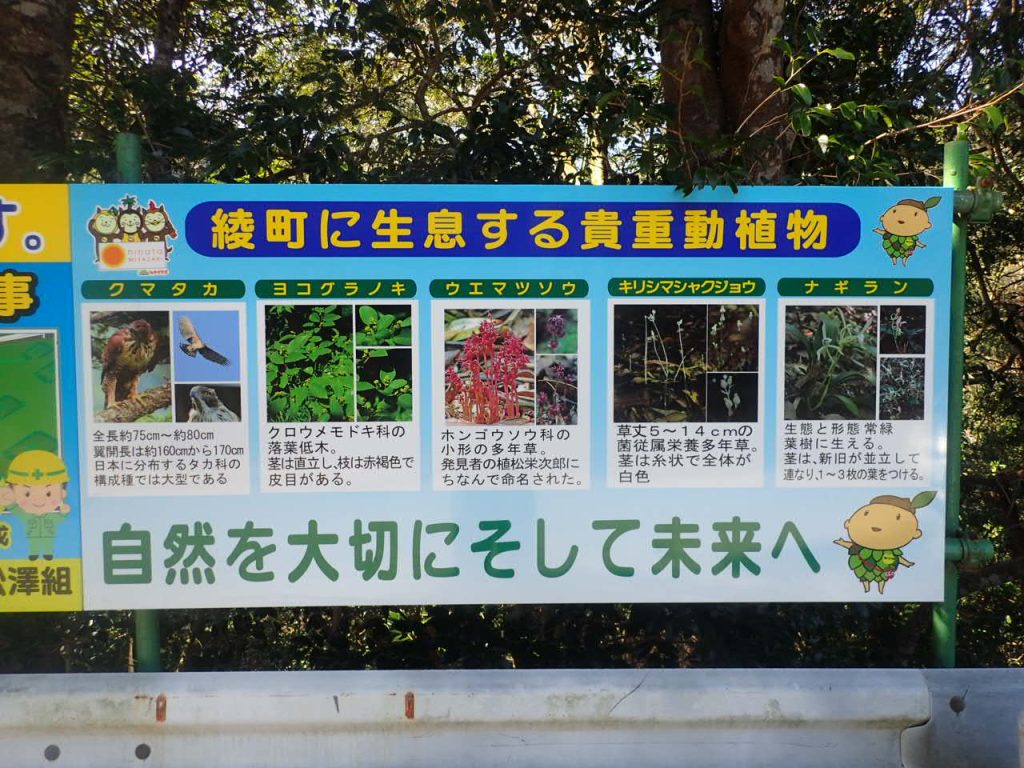 県道宮崎須木線 川中アンカー道路改良工事