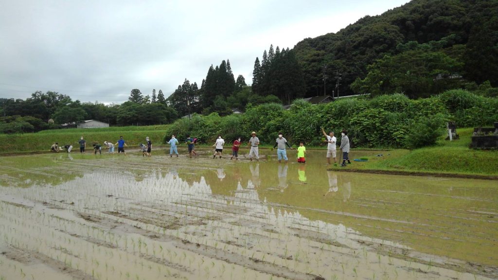 東郷水田の田植えを行いました！（2021年6月21日）
