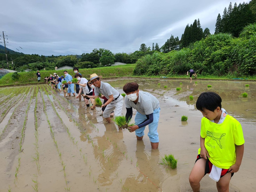 東郷水田の田植えを行いました！（2021年6月21日）