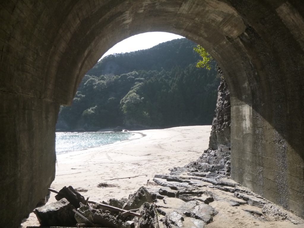 夏の思い出