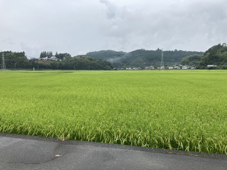 太陽の恵み