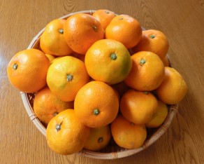 表と裏