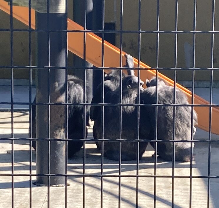 何の相談?