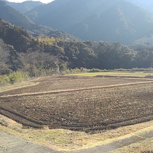 令和4年度　東　郷　水　田　始　動