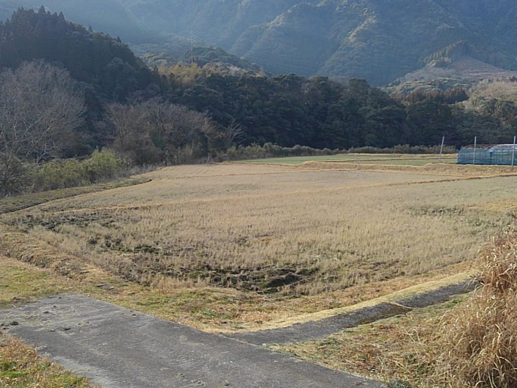 令和4年度 東 郷 水 田 始 動