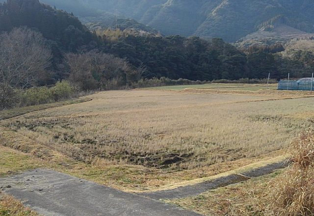 令和4年度 東 郷 水 田 始 動