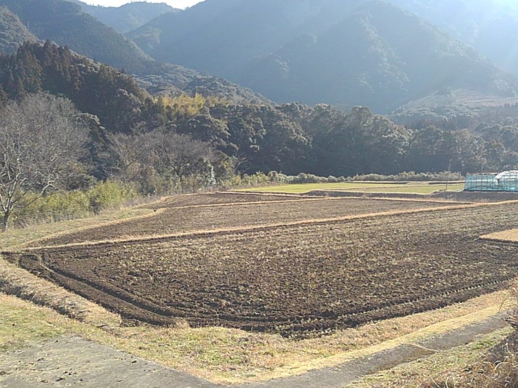 令和4年度 東 郷 水 田 始 動