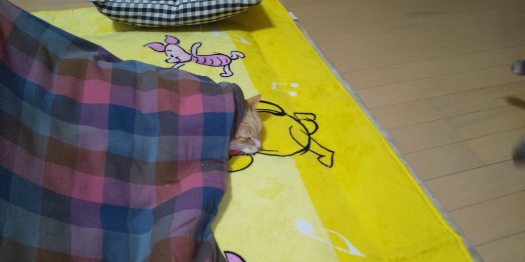 我が家のこたつ事情