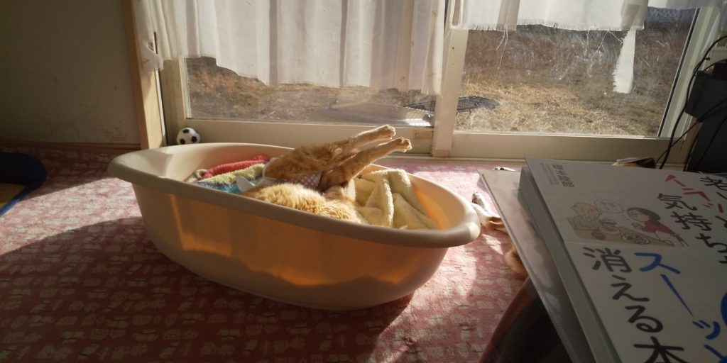 我が家のこたつ事情