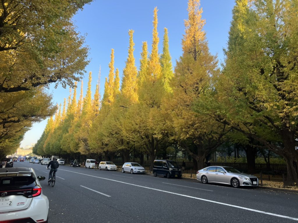 明治神宮外苑イチョウ並木