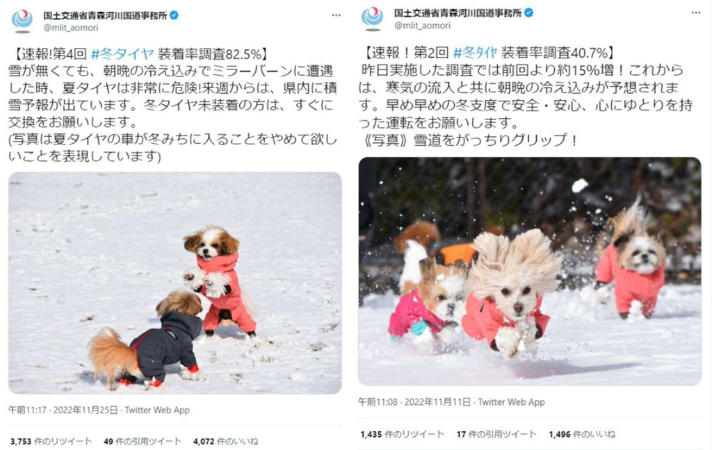 写真に魅かれて、、、