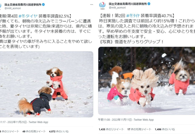 写真に魅かれて、、、