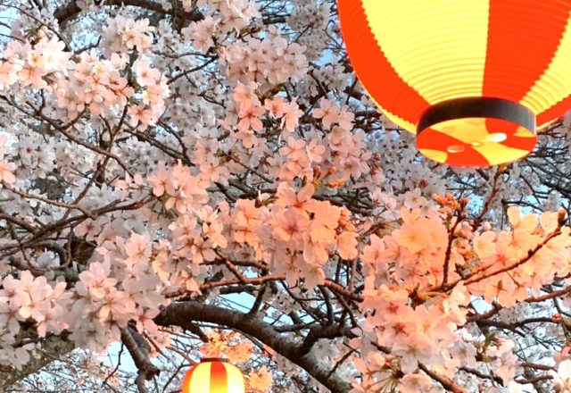 花も団子も(^^♪