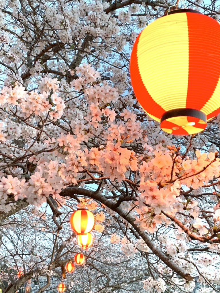 花も団子も(^^♪