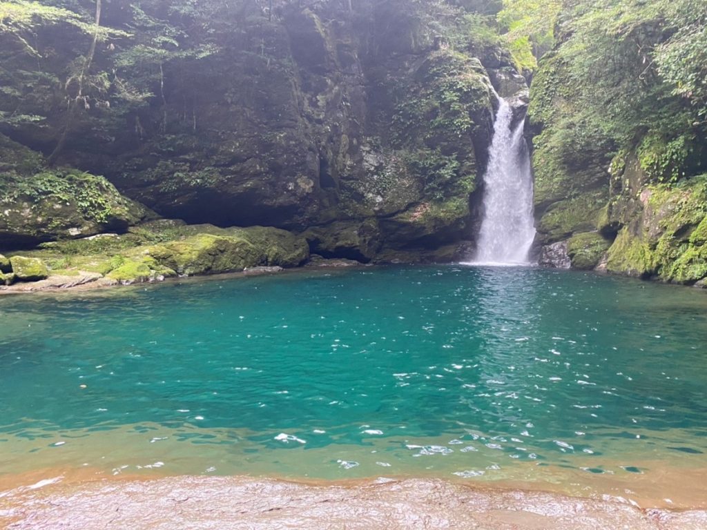 夏が来るぞ