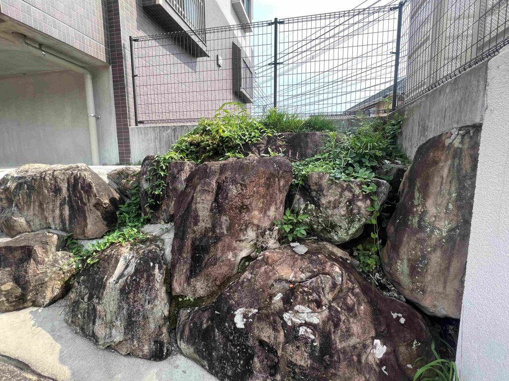 雑草