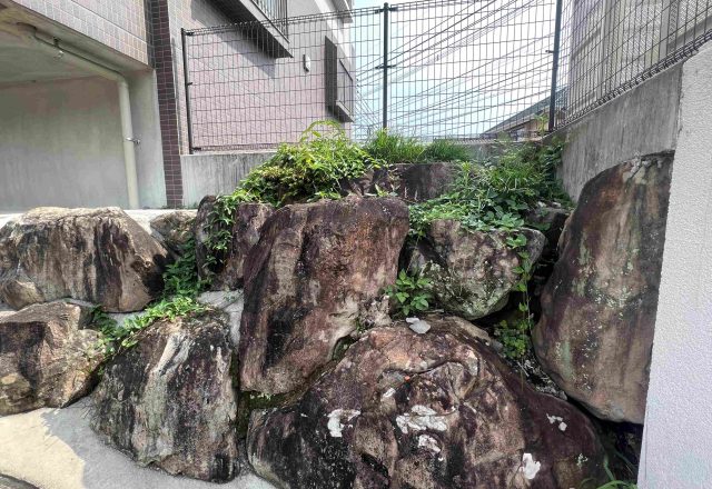 雑草