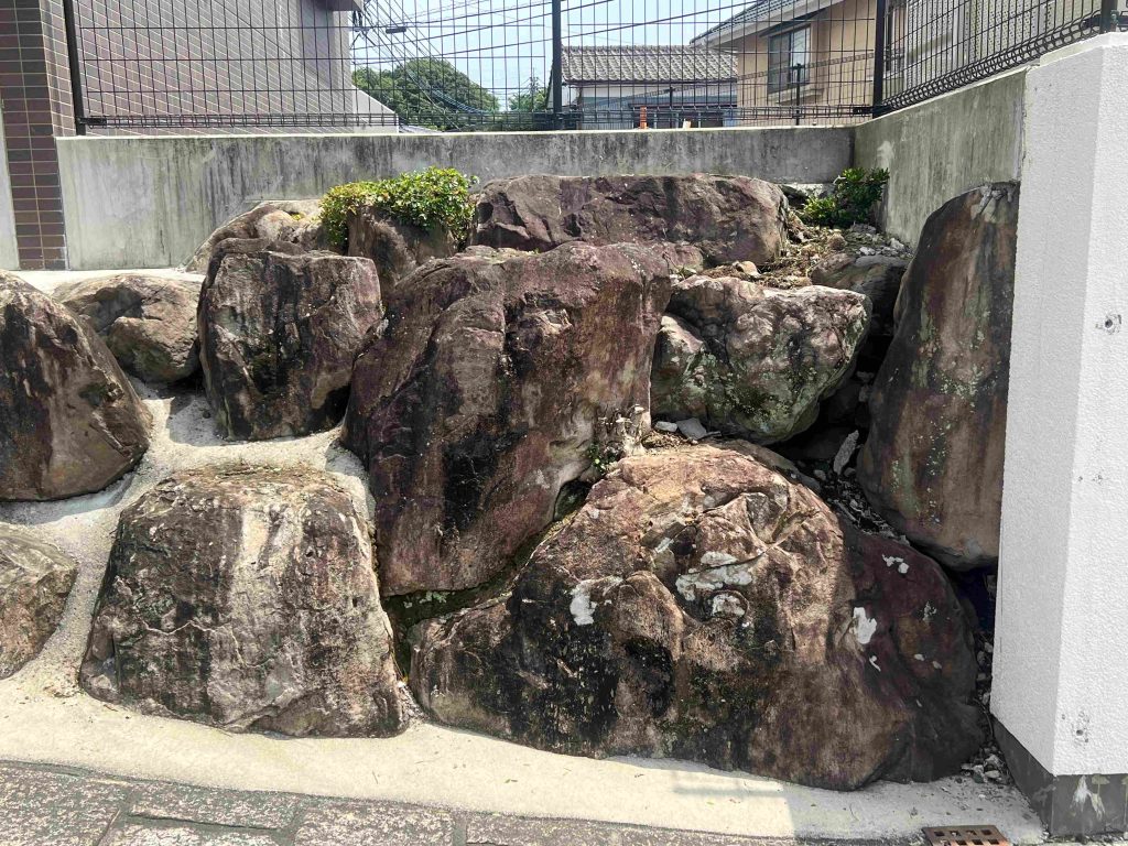 雑草