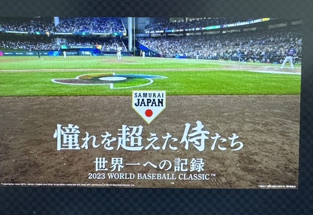 憧れを超えた侍たち～世界一への記録