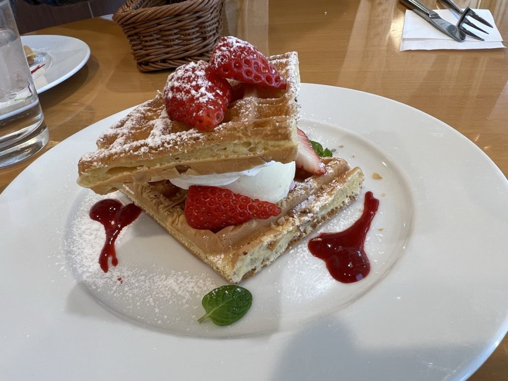 ちょっとお出かけ