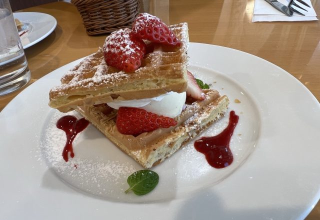 ちょっとお出かけ