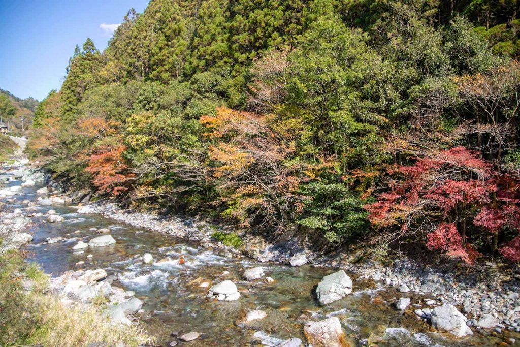 川のことをよく知ろう!