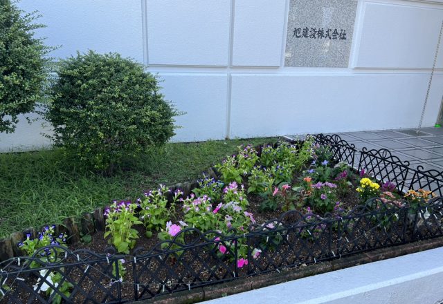 正面玄関横の花壇の守り亀