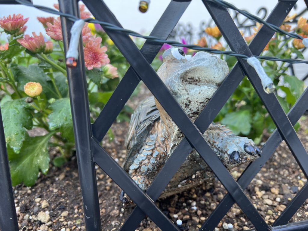 正面玄関横の花壇の守り亀