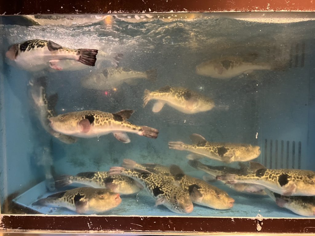 とらふぐ料理専門店「玉福」