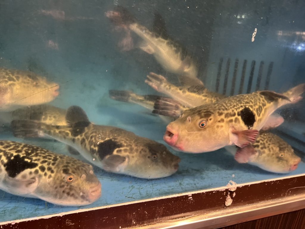 とらふぐ料理専門店「玉福」