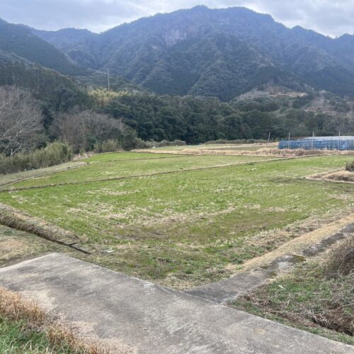 令和6年度　東　郷　水　田　始　動