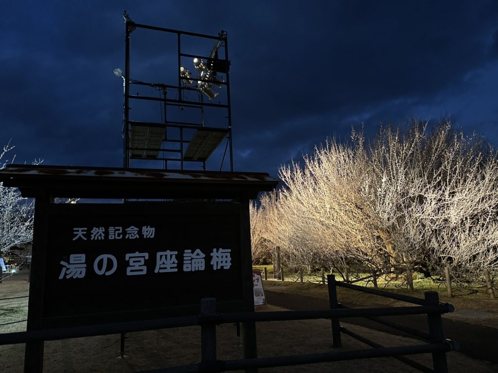 Light・up 座論梅