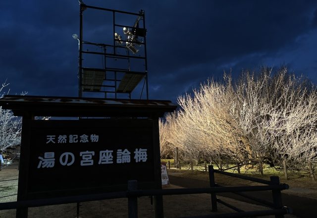 Light・up 座論梅