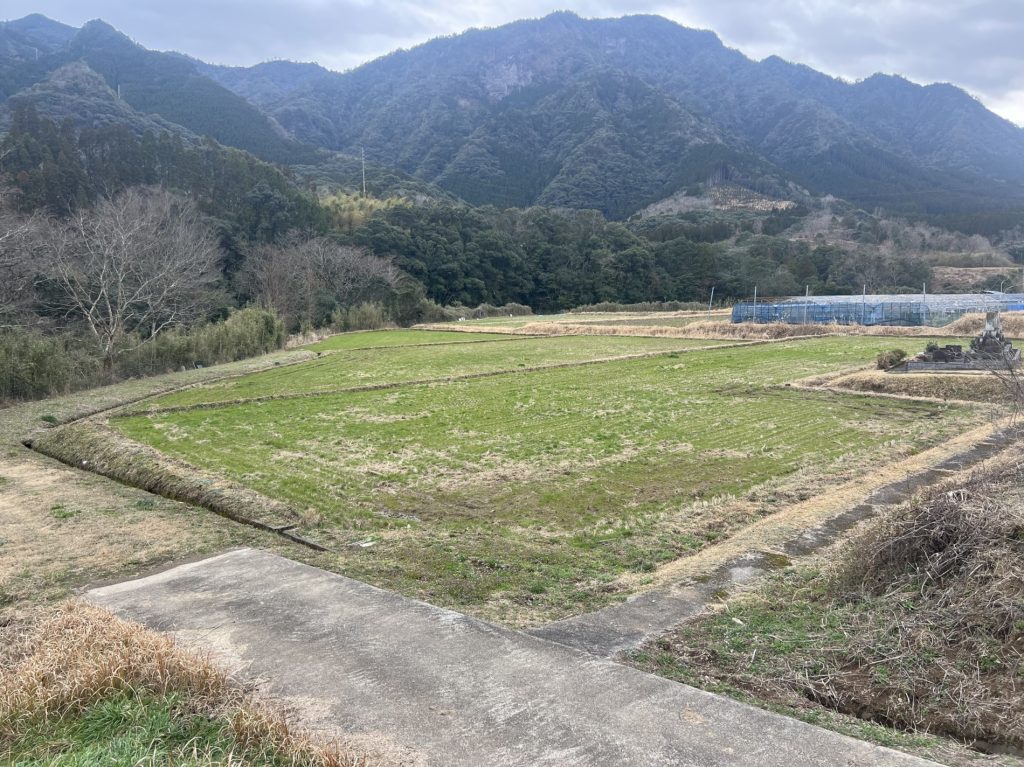 令和6年度 東 郷 水 田 始 動