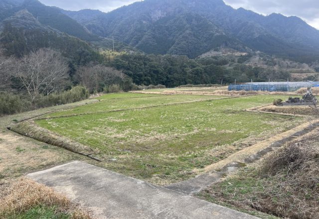 令和6年度 東 郷 水 田 始 動