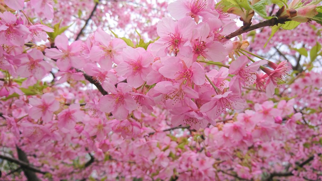 家族旅行🌸