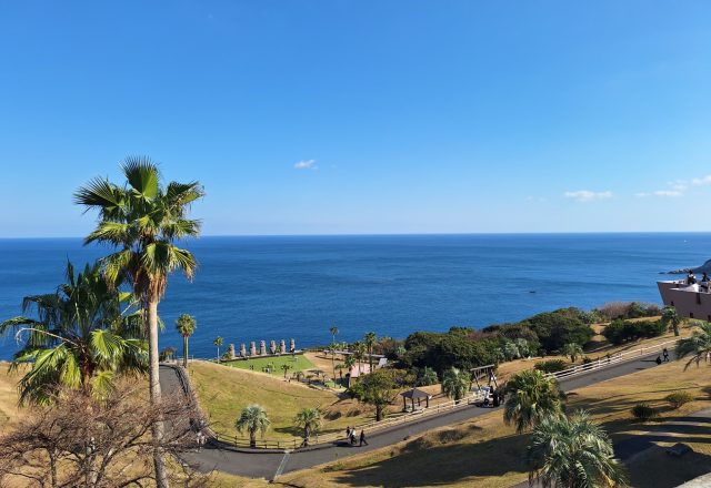日本の海